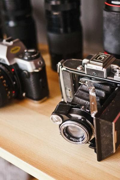 우드포드 리저브