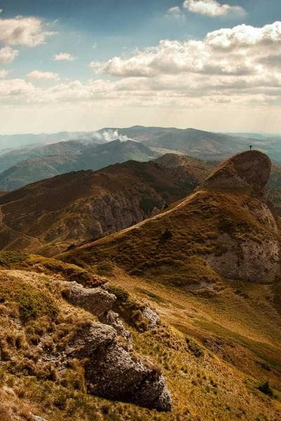 놉 크릭 스몰 배치