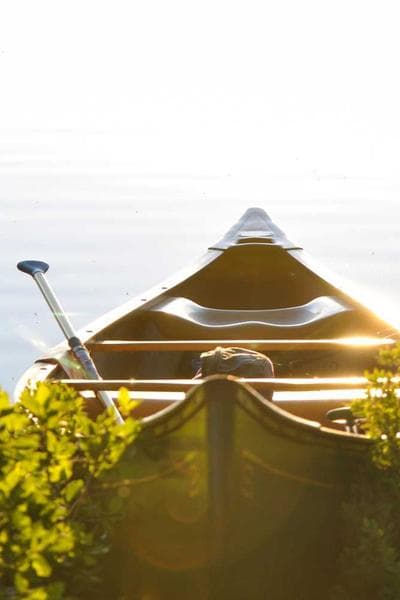 포 로지스 스몰 배치