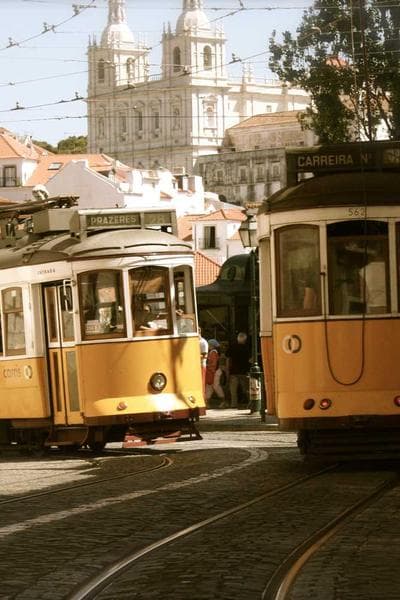 블랜튼스 싱글 배럴