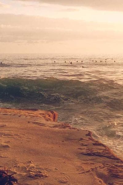 일라이저 크레이그 스몰 배치