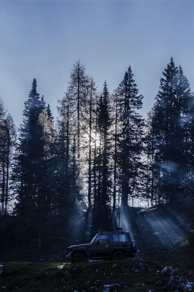 아벨라워 12년 더블 캐스크