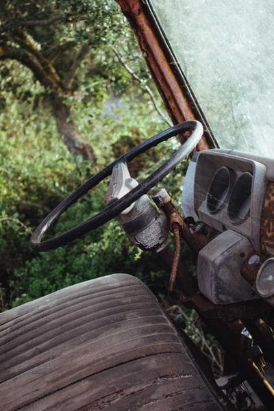 싱글톤 12년 더프타운