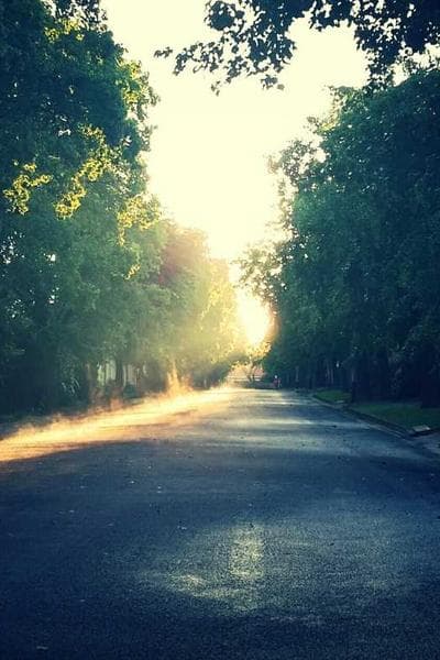 글렌모렌지 오리지널 10년